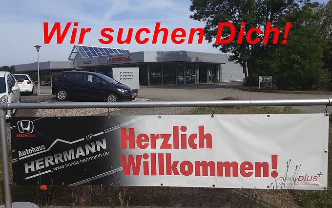 Wir suchen Dich! Stellenanzeige